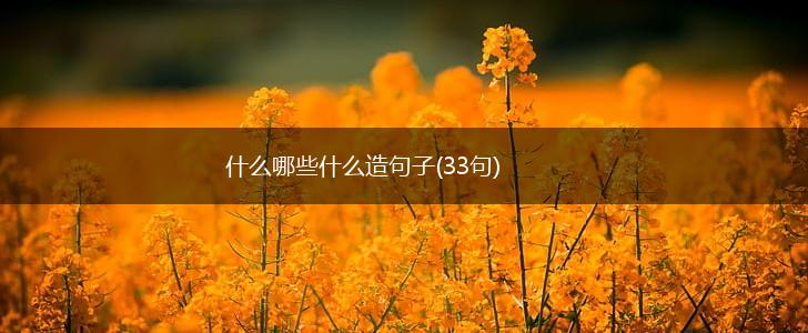 什么哪些什么造句子(33句),第1张