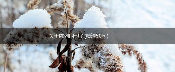 关于陈列的句子(精选50句),第1张