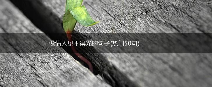 做情人见不得光的句子(热门50句),第1张