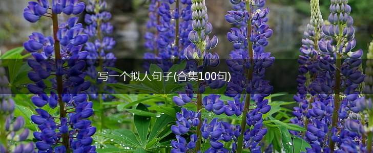写一个拟人句子(合集100句),第1张