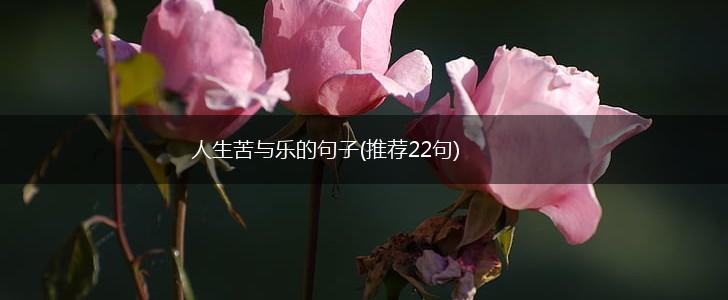 人生苦与乐的句子(推荐22句),第1张