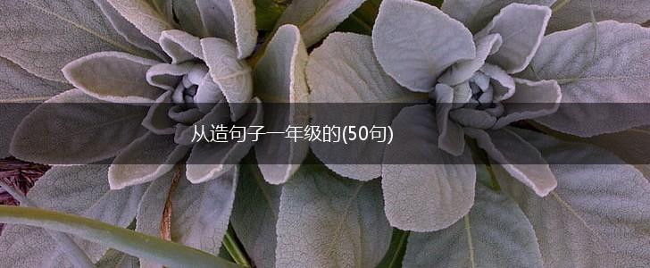 从造句子一年级的(50句),第1张