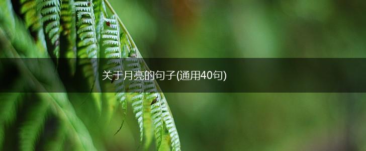 关于月亮的句子(通用40句),第1张