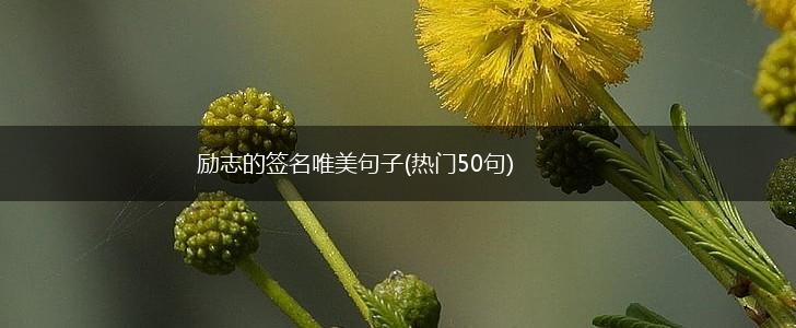 励志的签名唯美句子(热门50句),第1张
