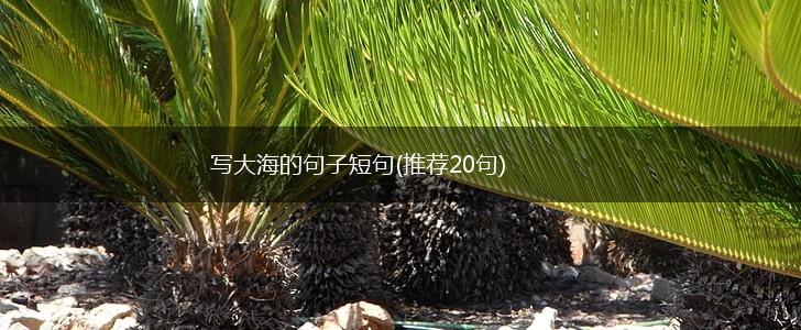 写大海的句子短句(推荐20句),第1张