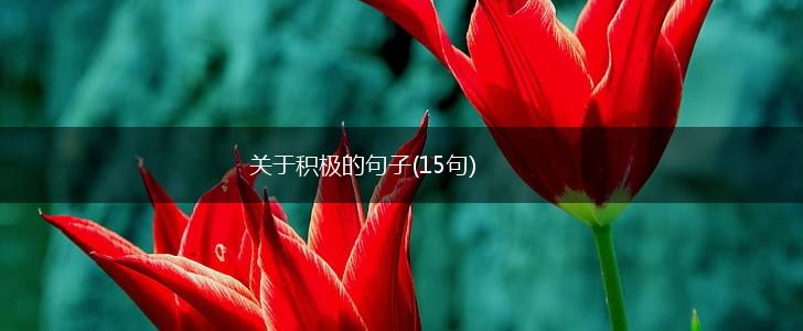 关于积极的句子(15句),第1张