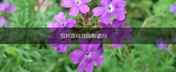 指称造句,用指称造句,第1张