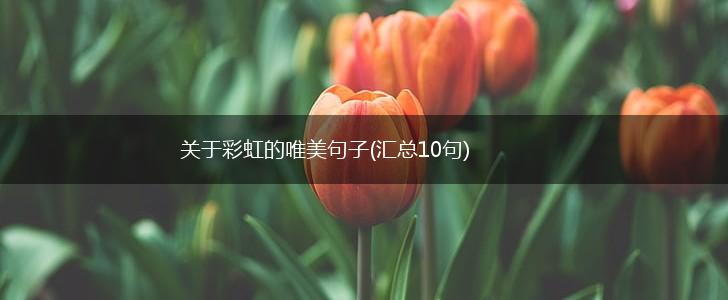 关于彩虹的唯美句子(汇总10句),第1张