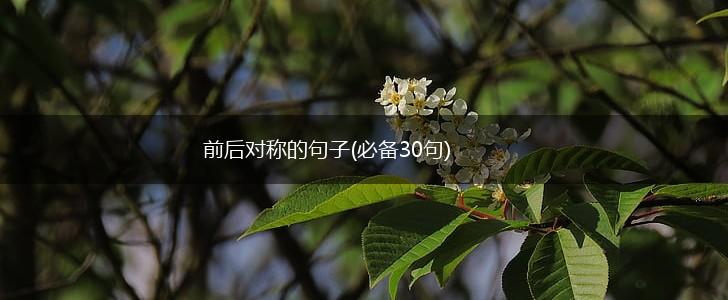 前后对称的句子(必备30句),第1张