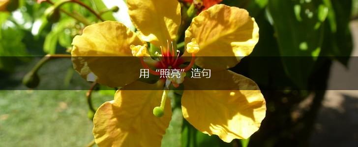 用“照亮”造句,第1张
