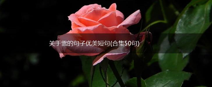 关于雪的句子优美短句(合集50句),第1张