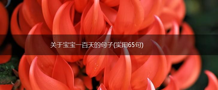 关于宝宝一百天的句子(实用65句),第1张
