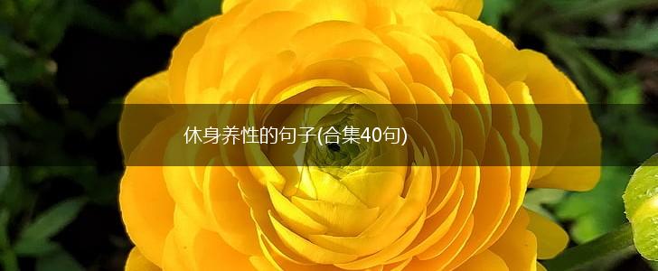 休身养性的句子(合集40句),第1张
