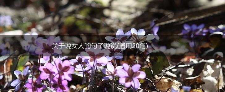 关于说女人的句子说说(通用20句),第1张