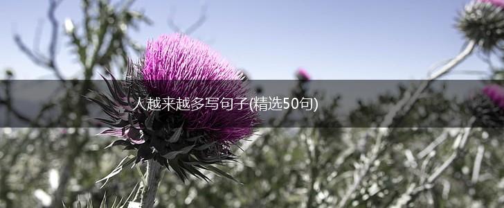 人越来越多写句子(精选50句),第1张