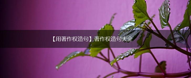 【用著作权造句】著作权造句大全,第1张