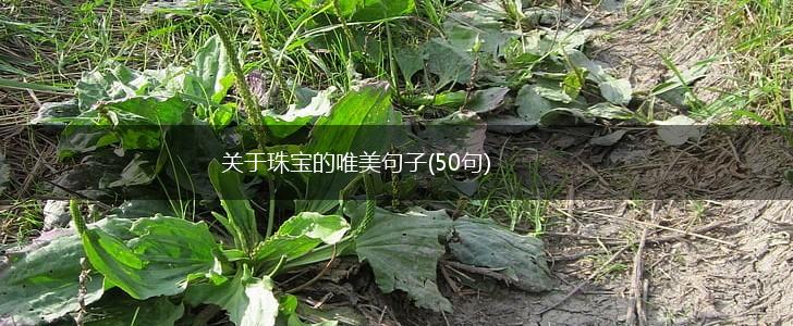 关于珠宝的唯美句子(50句),第1张
