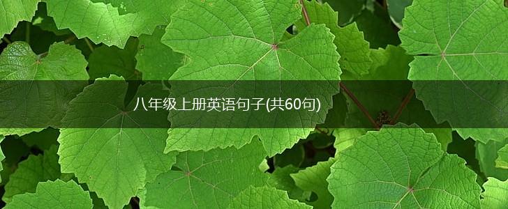 八年级上册英语句子(共60句),第1张