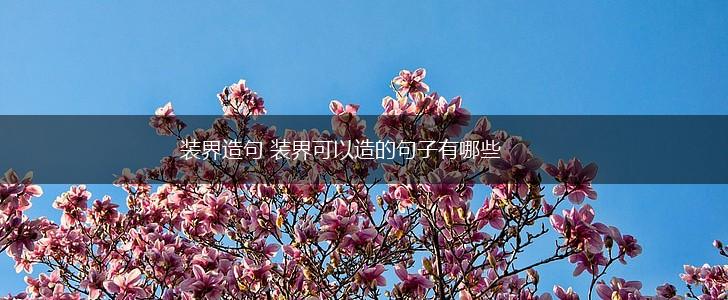 装界造句 装界可以造的句子有哪些,第1张