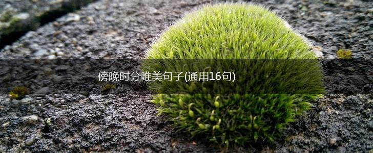 傍晚时分唯美句子(通用16句),第1张