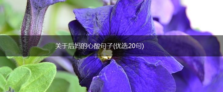 关于后妈的心酸句子(优选20句),第1张