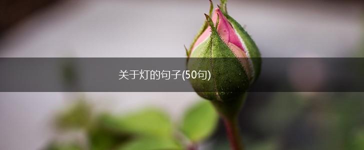 关于灯的句子(50句),第1张