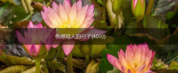 伤感骂人的句子(40句),第1张