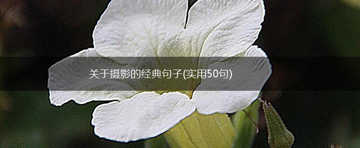 关于摄影的经典句子(实用50句),第1张