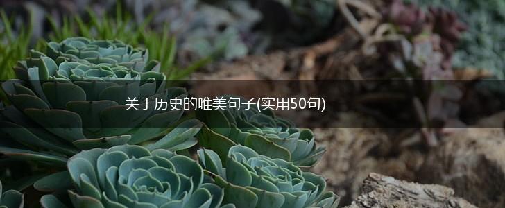 关于历史的唯美句子(实用50句),第1张