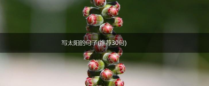 写太阳的句子(推荐30句),第1张