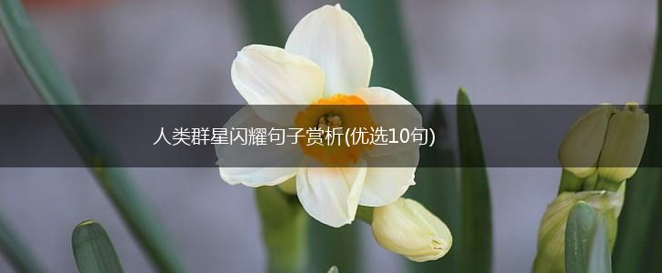 人类群星闪耀句子赏析(优选10句),第1张
