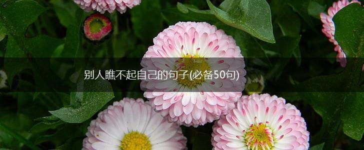 别人瞧不起自己的句子(必备50句),第1张