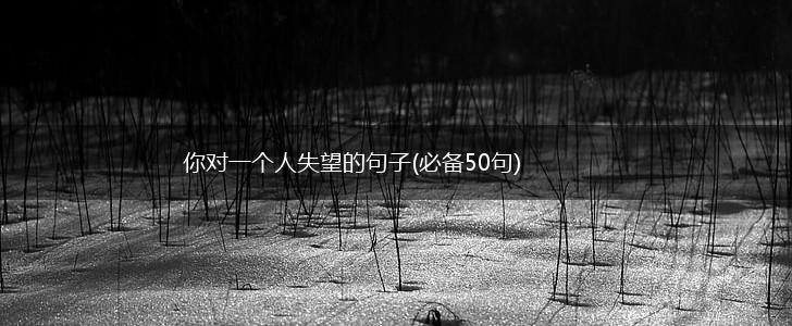你对一个人失望的句子(必备50句),第1张