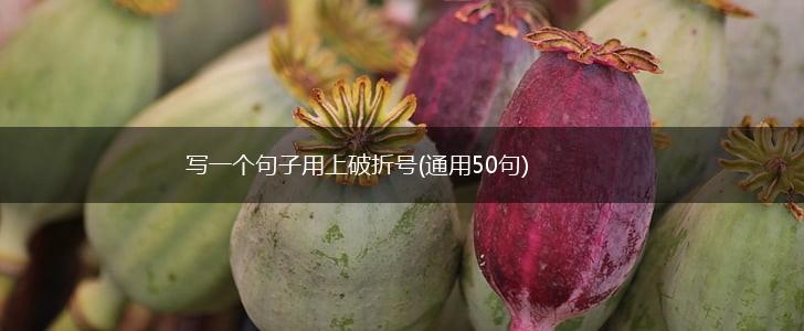 写一个句子用上破折号(通用50句),第1张