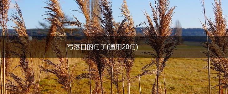写落日的句子(通用20句),第1张