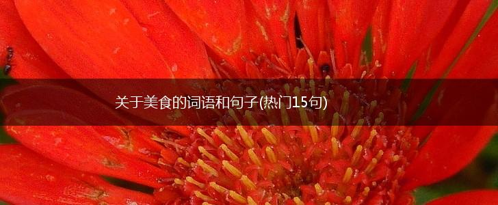 关于美食的词语和句子(热门15句),第1张