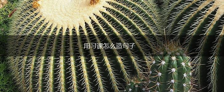 用习课怎么造句子,第1张
