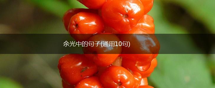 余光中的句子(通用10句),第1张