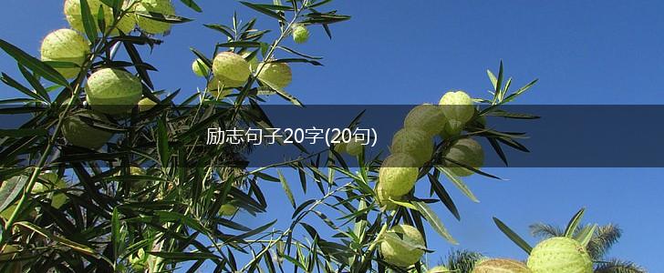 励志句子20字(20句),第1张