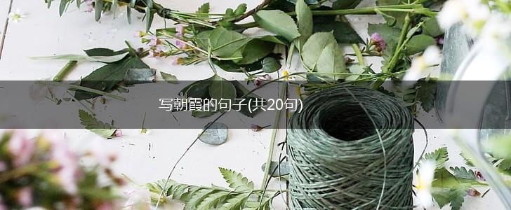 写朝霞的句子(共20句),第1张