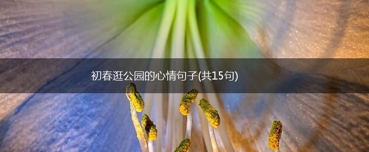 初春逛公园的心情句子(共15句),第1张