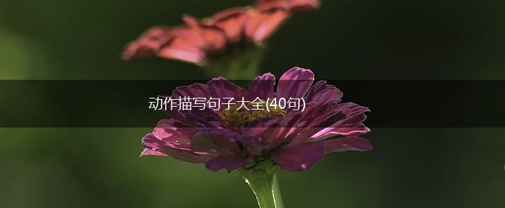 动作描写句子大全(40句),第1张