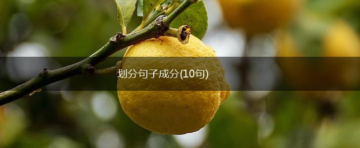 划分句子成分(10句),第1张