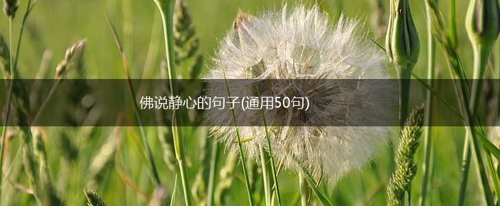 佛说静心的句子(通用50句),第1张