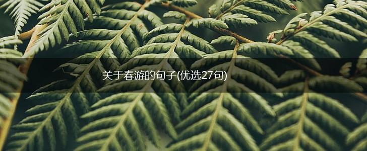 关于春游的句子(优选27句),第1张