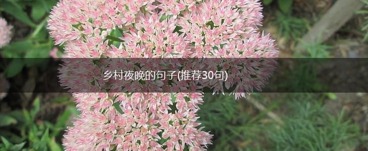 乡村夜晚的句子(推荐30句),第1张