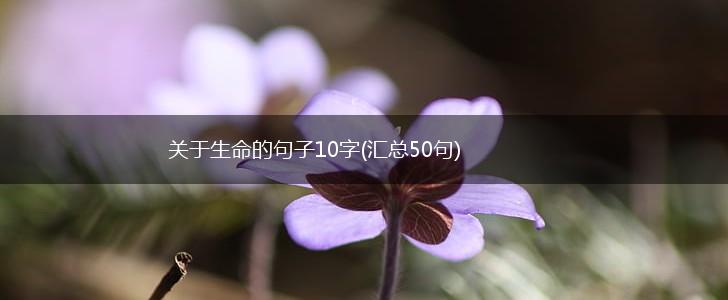 关于生命的句子10字(汇总50句),第1张