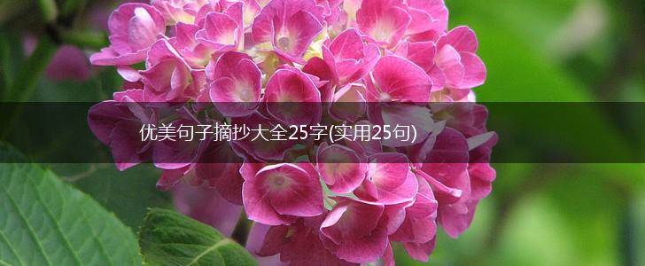 优美句子摘抄大全25字(实用25句),第1张