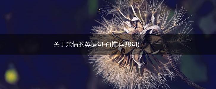 关于亲情的英语句子(推荐38句),第1张