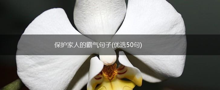 保护家人的霸气句子(优选50句),第1张